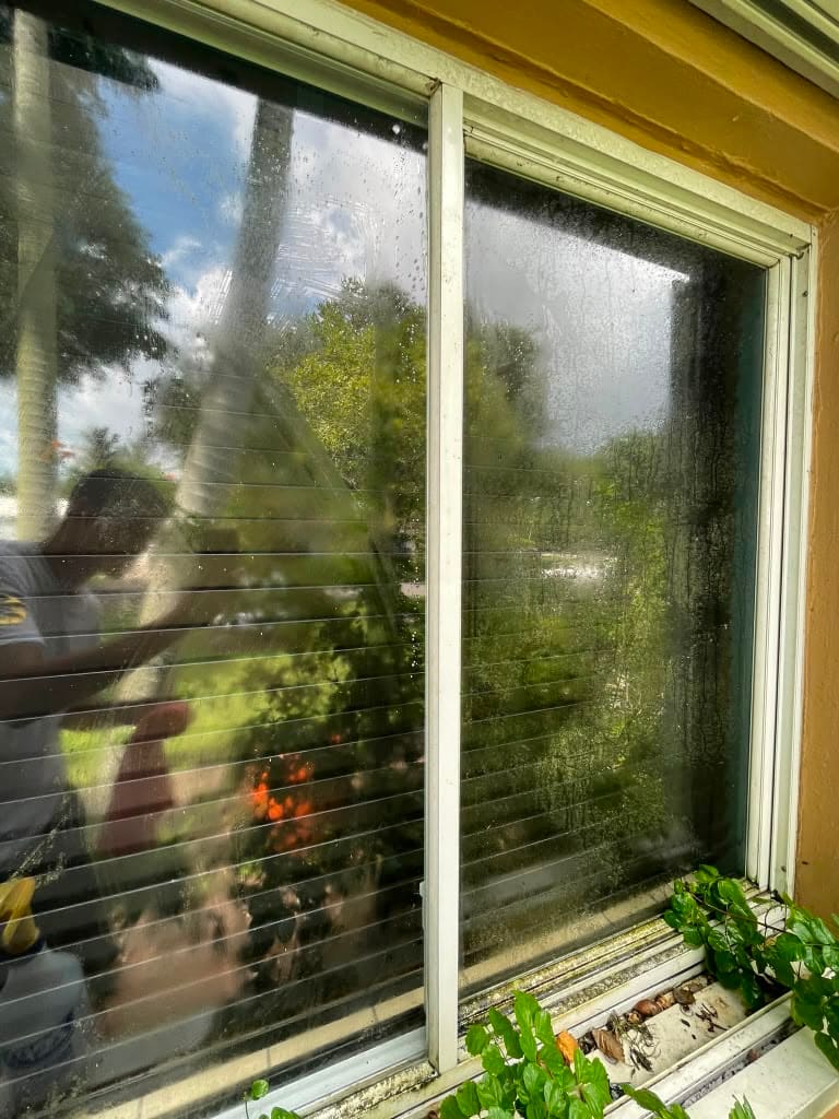 Window mid-clean showing the streak-free, crystal-clear result on the left compared to the hazy, unwashed glass on the right